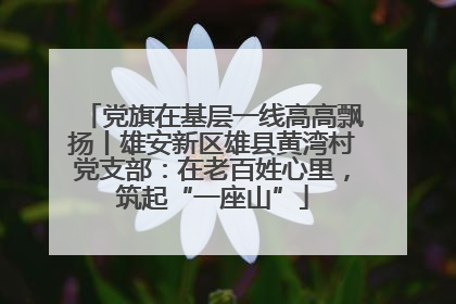 党旗在基层一线高高飘扬丨雄安新区雄县黄湾村党支部：在老百姓心里，筑起“一座山”