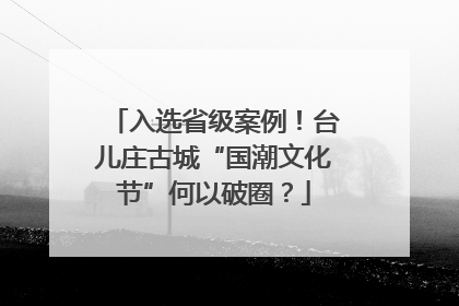 入选省级案例！台儿庄古城“国潮文化节”何以破圈？