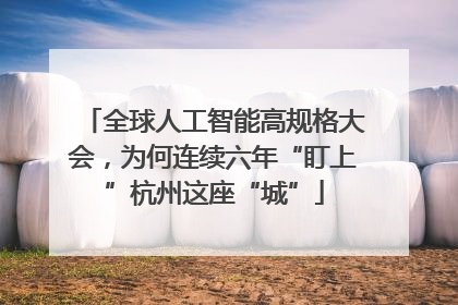 全球人工智能高规格大会，为何连续六年“盯上”杭州这座“城”