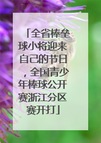全省棒垒球小将迎来自己的节日，全国青少年棒球公开赛浙江分区赛开打