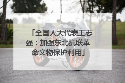 全国人大代表王志强：加强东北抗联革命文物保护利用