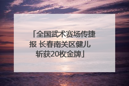 全国武术赛场传捷报 长春南关区健儿斩获20枚金牌