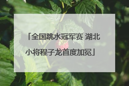 全国跳水冠军赛 湖北小将程子龙首度加冕