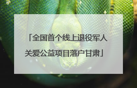 全国首个线上退役军人关爱公益项目落户甘肃