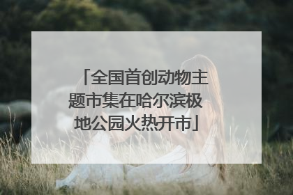 全国首创动物主题市集在哈尔滨极地公园火热开市