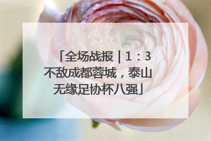 全场战报｜1：3不敌成都蓉城，泰山无缘足协杯八强
