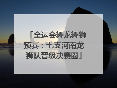 全运会舞龙舞狮预赛：七支河南龙狮队晋级决赛圈