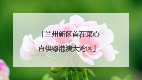 兰州新区首茬菜心直供粤港澳大湾区