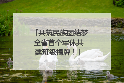 共筑民族团结梦 全省首个军休共建班级揭牌！