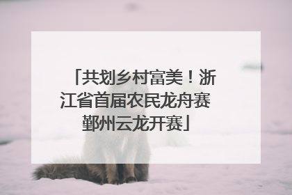共划乡村富美！浙江省首届农民龙舟赛鄞州云龙开赛