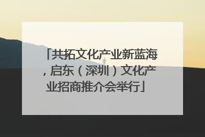 共拓文化产业新蓝海，启东（深圳）文化产业招商推介会举行