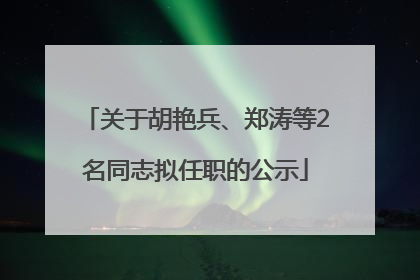 关于胡艳兵、郑涛等2名同志拟任职的公示