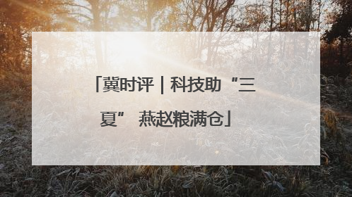 冀时评｜科技助“三夏” 燕赵粮满仓