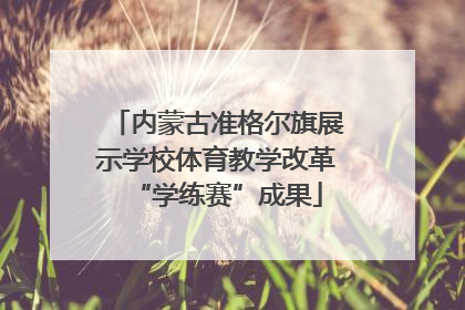 内蒙古准格尔旗展示学校体育教学改革“学练赛”成果