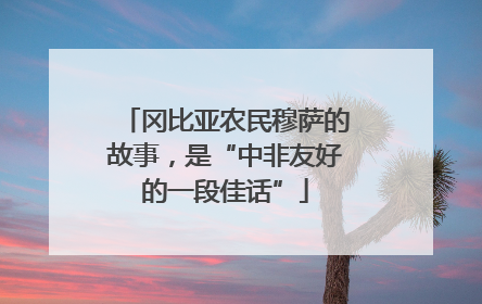 冈比亚农民穆萨的故事，是“中非友好的一段佳话”