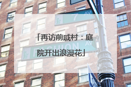 再访前戚村：庭院开出浪漫花