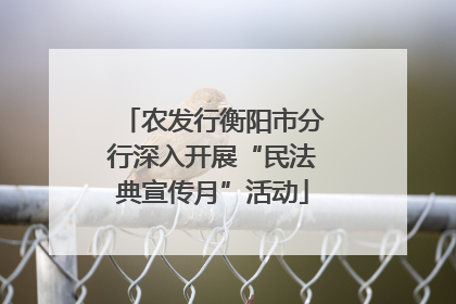 农发行衡阳市分行深入开展“民法典宣传月”活动