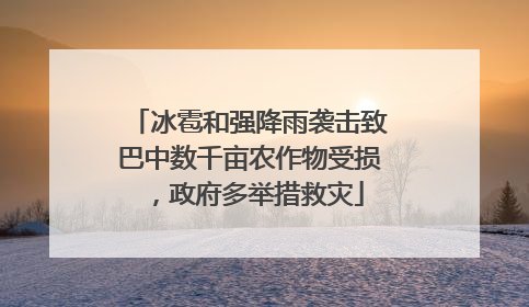 冰雹和强降雨袭击致巴中数千亩农作物受损，政府多举措救灾