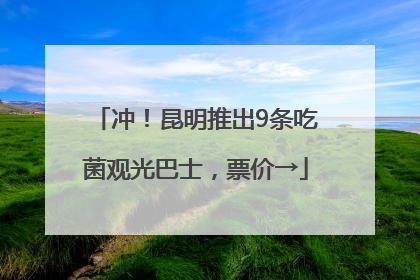 冲！昆明推出9条吃菌观光巴士，票价→