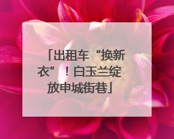 出租车“换新衣”！白玉兰绽放申城街巷