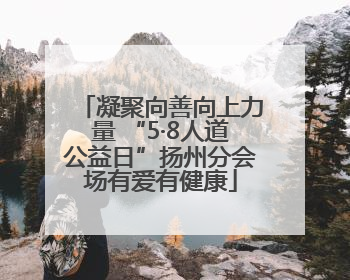 凝聚向善向上力量 “5·8人道公益日”扬州分会场有爱有健康