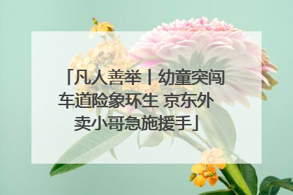 凡人善举丨幼童突闯车道险象环生 京东外卖小哥急施援手