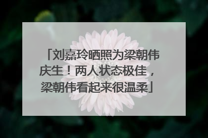 刘嘉玲晒照为梁朝伟庆生！两人状态极佳，梁朝伟看起来很温柔