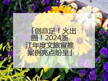 创意足！火出圈！2024浙江年度文旅宣推案例亮点纷呈
