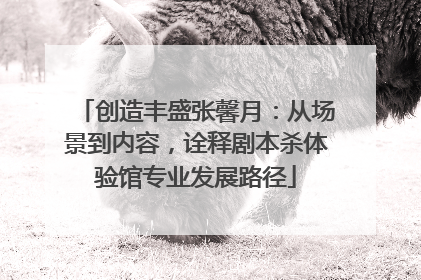 创造丰盛张馨月：从场景到内容，诠释剧本杀体验馆专业发展路径