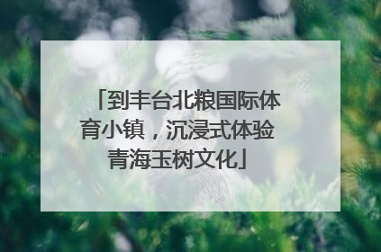 到丰台北粮国际体育小镇，沉浸式体验青海玉树文化