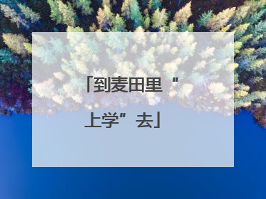 到麦田里“上学”去