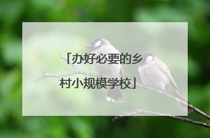 办好必要的乡村小规模学校