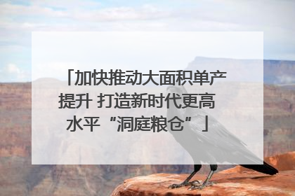 加快推动大面积单产提升 打造新时代更高水平“洞庭粮仓”