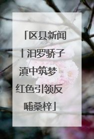 区县新闻丨汨罗骄子滇中筑梦 红色引领反哺桑梓