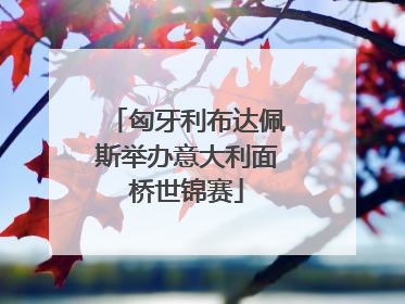 匈牙利布达佩斯举办意大利面桥世锦赛