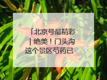 北京号最精彩｜绝美！门头沟这个景区芍药已花开成海