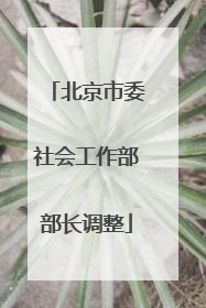 北京市委社会工作部部长调整