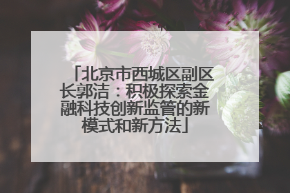 北京市西城区副区长郭洁：积极探索金融科技创新监管的新模式和新方法