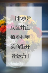 北京延庆区井庄镇乡村奥莱商街开街运营