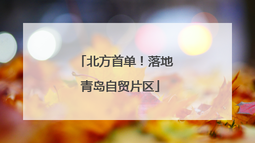 北方首单！落地青岛自贸片区