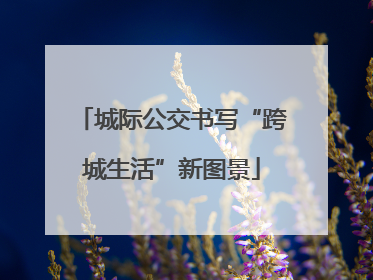 城际公交书写“跨城生活”新图景