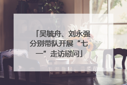 吴毓舟、刘永强分别带队开展“七一”走访慰问