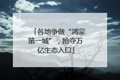 各地争做“鸿蒙第一城”，抢夺万亿生态入口