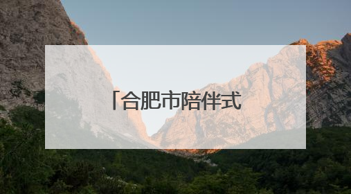 合肥市陪伴式“走出去”综合服务专窗护航企业扬帆出海