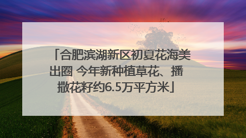 合肥滨湖新区初夏花海美出圈 今年新种植草花、播撒花籽约6.5万平方米
