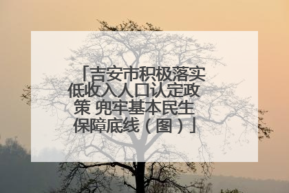 吉安市积极落实低收入人口认定政策 兜牢基本民生保障底线（图）