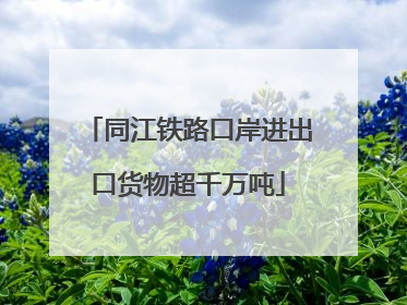 同江铁路口岸进出口货物超千万吨