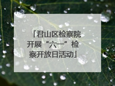君山区检察院开展“六一”检察开放日活动