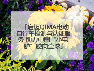 启迈QIMA电动自行车检测与认证服务 助力中国“小电驴”驶向全球