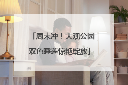 周末冲！大观公园双色睡莲惊艳绽放
